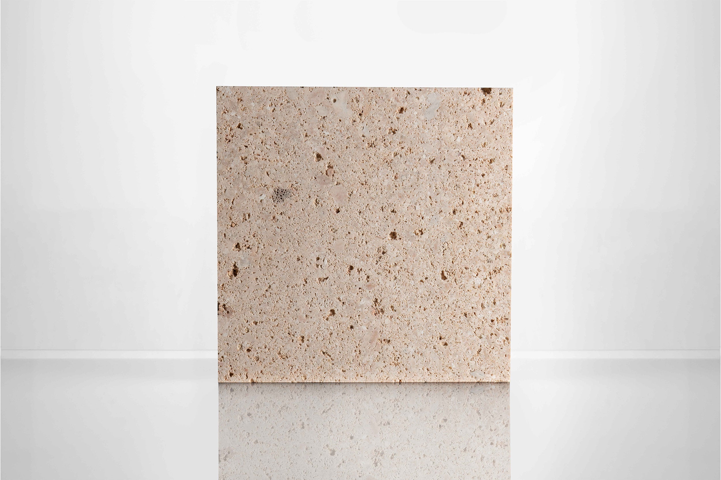 Coral Cream - Honed + Unfilled